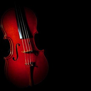 小提琴的鉴别