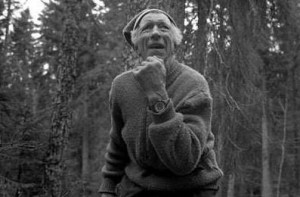 寻找完美的音乐木材