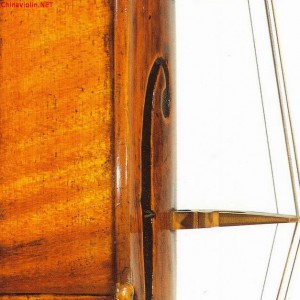 关于F孔的定位与功能