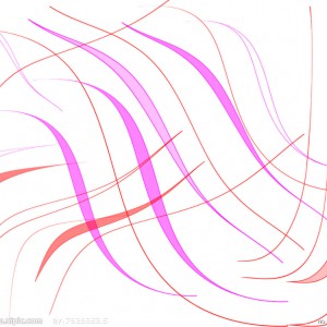 再转一篇郑荃大师的好文章《提琴的弧度》