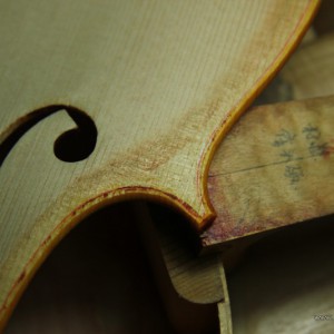 周末说琴之“胶水开胶”