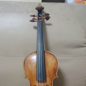 40岁大叔学琴笔记