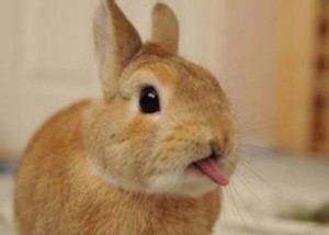 熙太后的学琴之路--懒妈妈的笔记簿