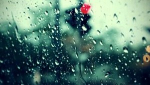 《心雨》2016年5月10日