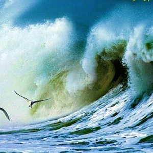 暴风雨，来了！伊森演奏的〈夏〉