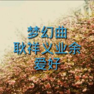 梦幻曲 耿祥义业余视频