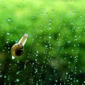 《下雨時候》 神秘園