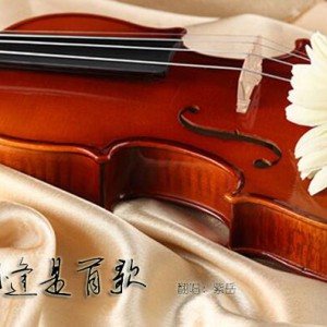 《相逢是首歌》演奏淡淡（宋云）