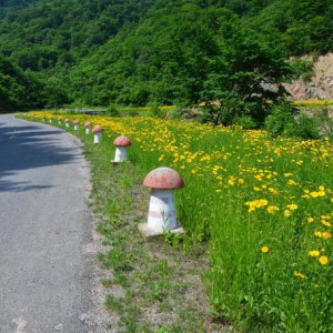 《山区公路通了车》-伊森演奏