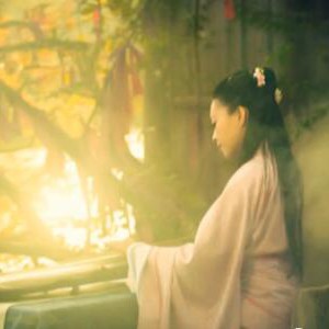 《卷珠帘》 小提琴演奏通俗