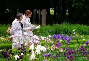 我的两个与琴有关的绝招推荐给大家