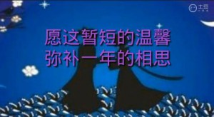 七夕，拉一首小夜曲（暂短温馨，弥补相思）