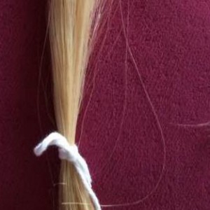 清洗弓毛上的污渍