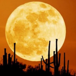 中秋獻給月亮 德伏夏克《月亮頌》