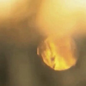 哥達德《Beceuse》