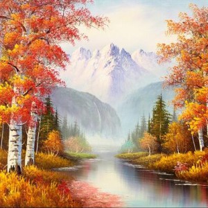 记录我在枫叶国学琴的时光