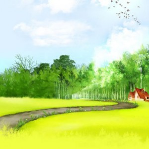 我对小提琴考级的一些看法