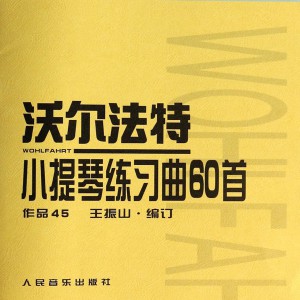 沃尔法特60首第15条，我对一个小节的注释，欢迎批评和建议