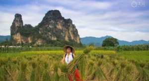 我的故乡行与拉的【故乡情】