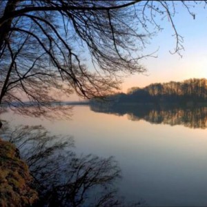 Songs My Mother Tought Me 母亲教我的歌