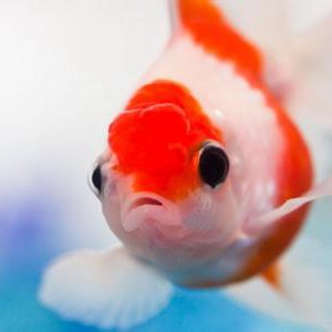 重新认识“空弦”