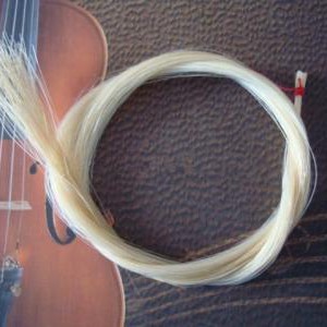 弓毛可以清洗么？