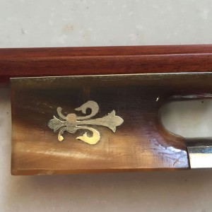 我叫“铁线子”，不是苏木哦。