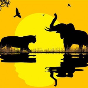 突破基本乐理的束缚