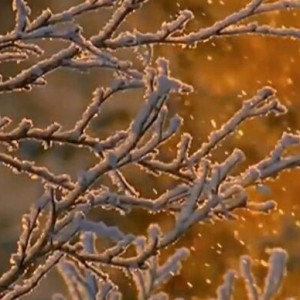 马斯涅《悲歌》Masenet Elegie