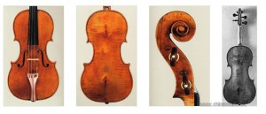 背板没花纹的名琴欣赏