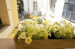 胡梅尔《中提琴幻想曲》《Fantasy for Viola and Orchestra》