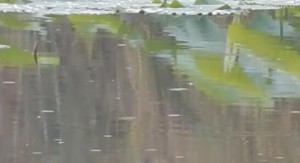 学拉格鲁克《旋律》