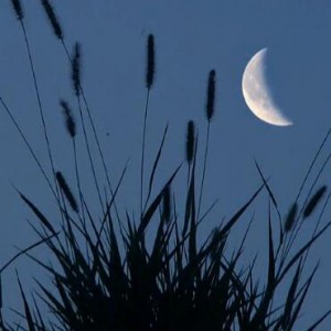 《弯弯的月亮》