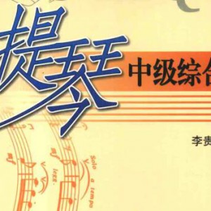 小提琴中级综合教程