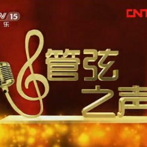 中央音乐学院教授王紹武-中提琴课堂