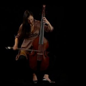 维奥尔琴真好听