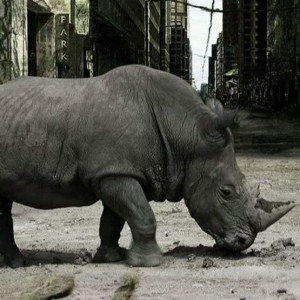 人类消失后的世界