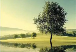 我拉的德尔德拉《回忆》