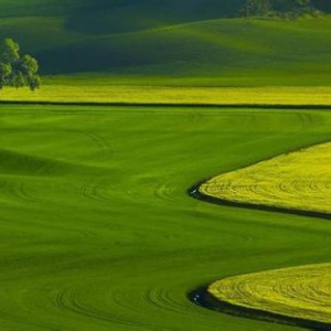 新作：d小调第二小提琴奏鸣曲第一乐章