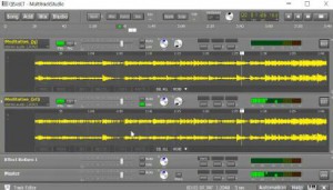 有两种不同的  “音准” ？