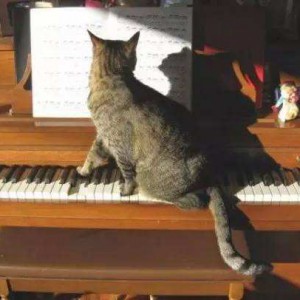 琴童家长如何帮助孩子学琴