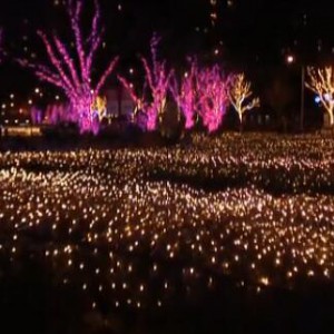 维瓦尔第四季之冬No.2(广板）我的小提琴演奏之一