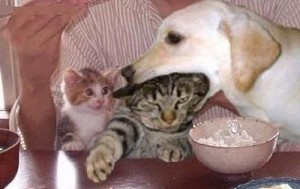 我写的三度练习曲