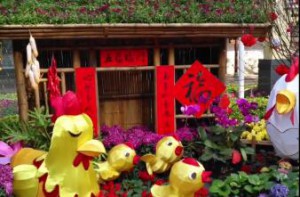 《清早听到公鸡叫》我拉的小提琴儿歌