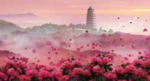 我拉的《山丹丹开花红艳艳》