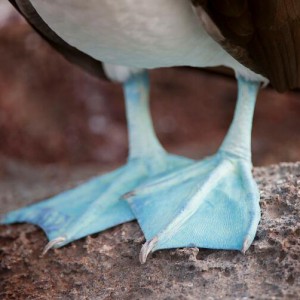 左手中指和无名指独立性练习