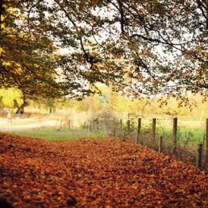 我写的2首赋格曲