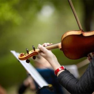 继续关于演奏规格的讨论