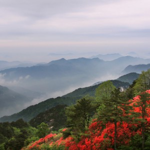 再见了大别山-弦乐歌曲伴奏