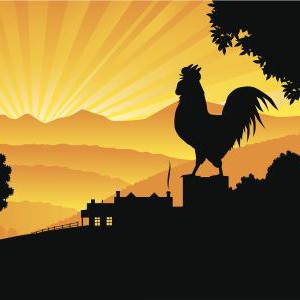 金鸡之舞(张延龄小提琴原创作品)